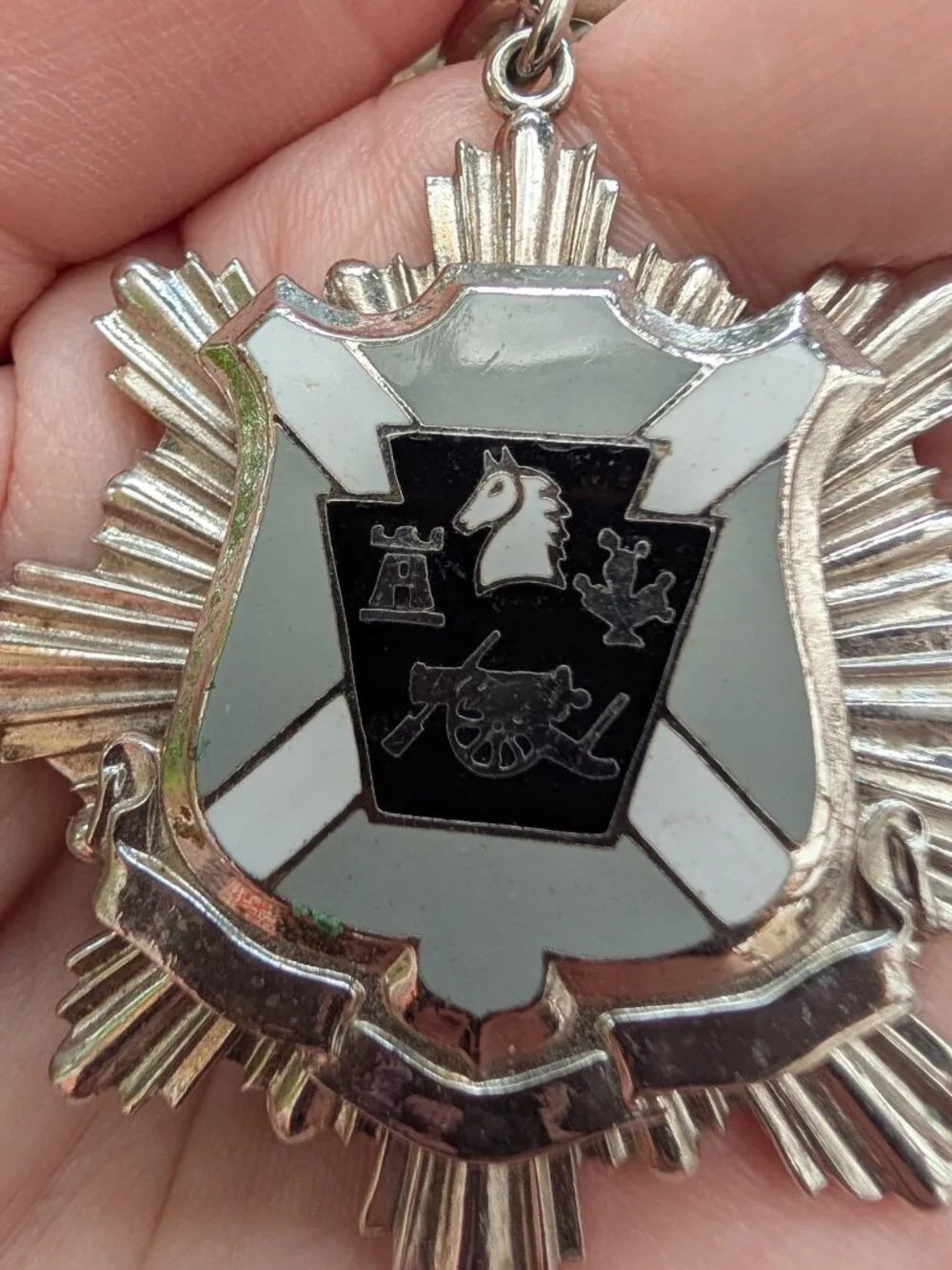 Vintage Heraldic Crest Medallion Necklace on Chunky Chain AS IS